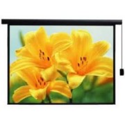Màn chiếu treo tường Apollo 96"x96" (2.44mx2.44m)